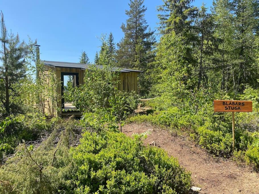 Forest Cabin With Stunning Mountain View & Sauna Torsby Exterior foto